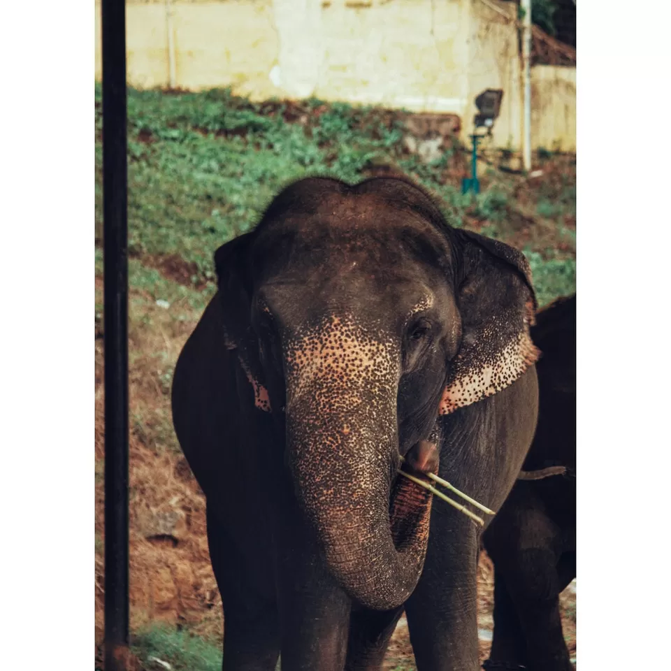 Photo of 1day trip from Bangalore to Mysore by Mukesh Das