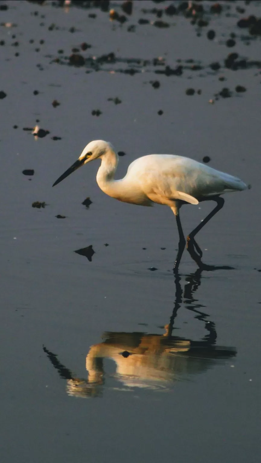 Photo of 1day trip from Bangalore to Mysore by Mukesh Das