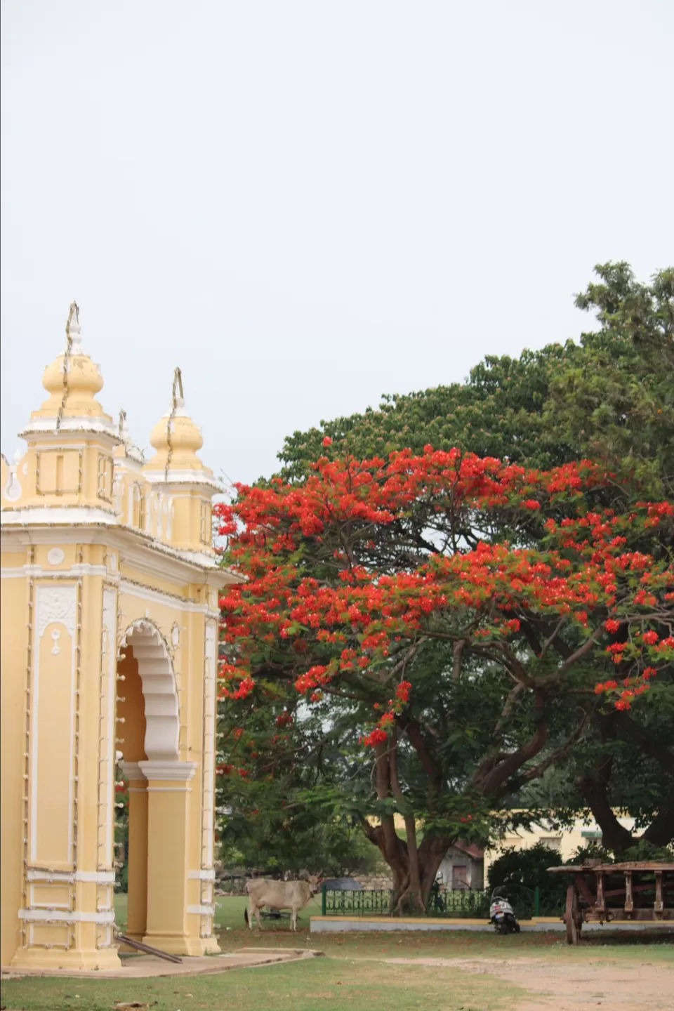 Photo of 1day trip from Bangalore to Mysore by Mukesh Das