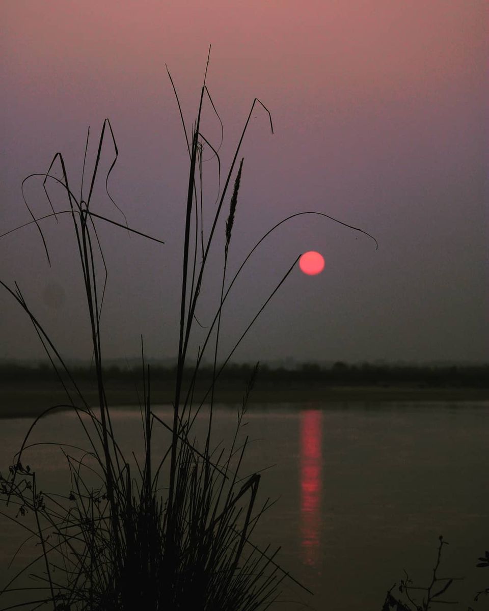 Photo of Bhubaneswar : back to hometown by Mukesh Das