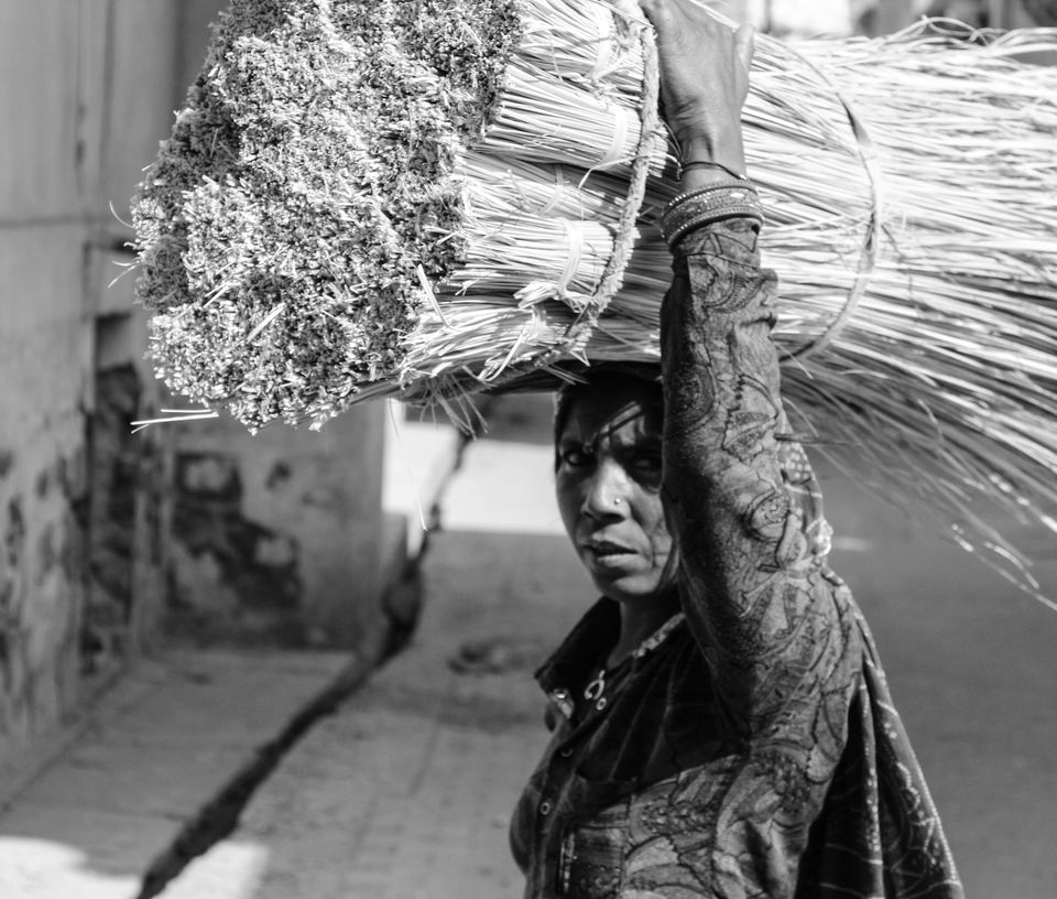 Photo of Streets of Pilani, Rajasthan by Amit Goyal