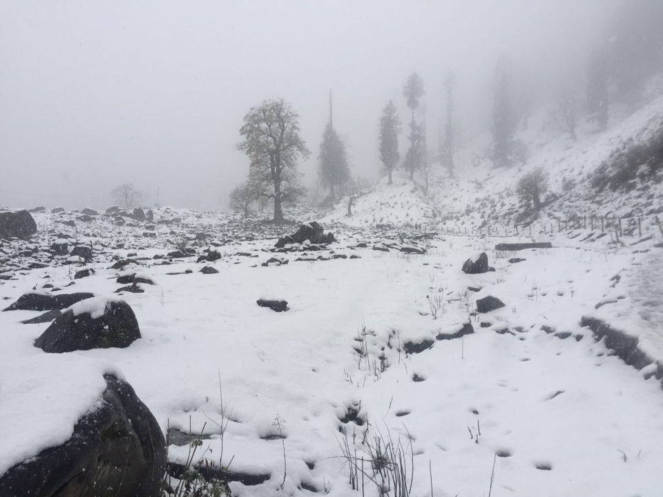 Photo of Manali, Himachal Pradesh, India by Nomadicnesters