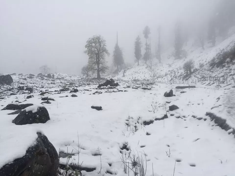 Photo of Manali, Himachal Pradesh, India by Nomadicnesters
