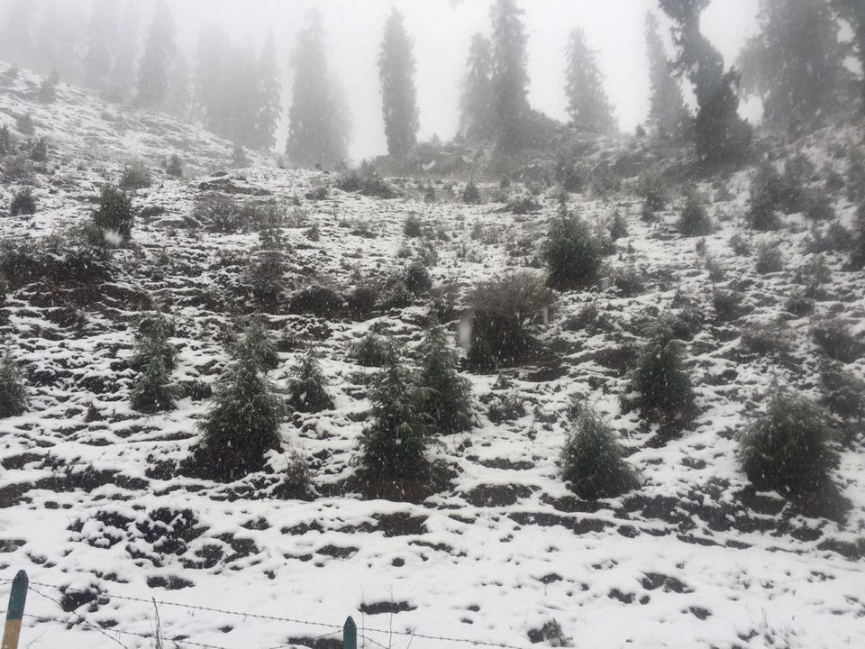 Photo of Manali, Himachal Pradesh, India by Nomadicnesters
