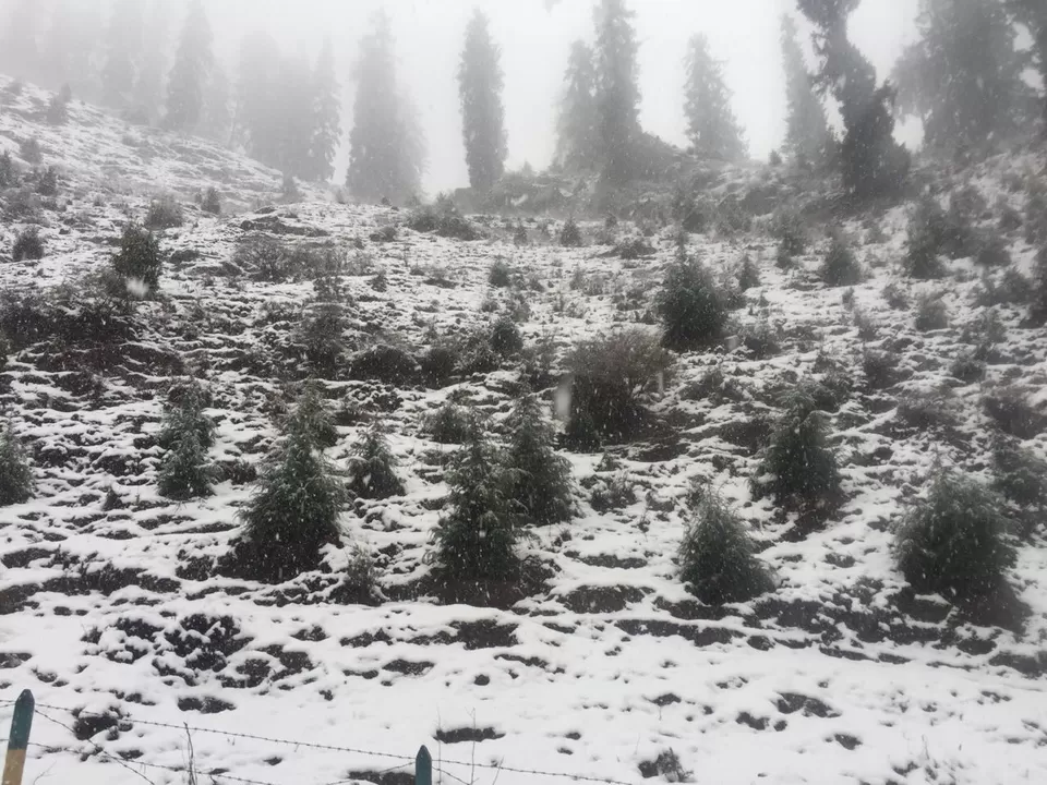 Photo of Manali, Himachal Pradesh, India by Nomadicnesters