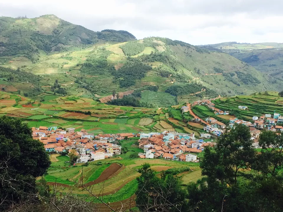 Photo of Tamil Nadu by Thejus pius