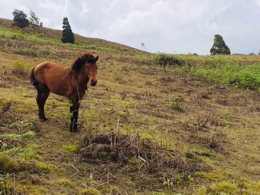 Photo of Tamil Nadu by Thejus pius