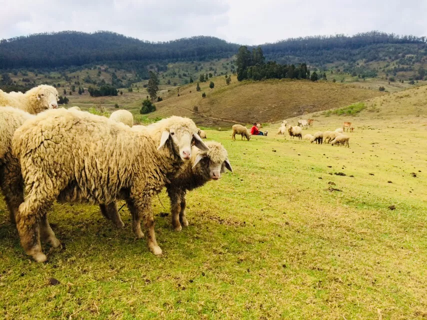 Photo of Tamil Nadu by Thejus pius