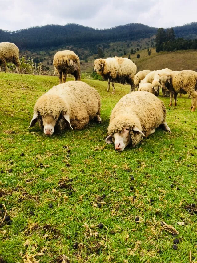 Photo of Tamil Nadu by Thejus pius