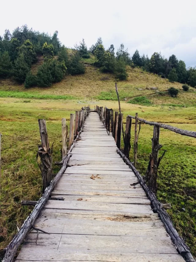 Photo of Tamil Nadu by Thejus pius