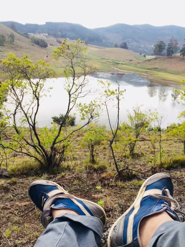 Photo of Tamil Nadu by Thejus pius