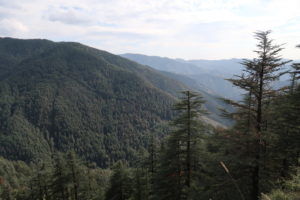Photo of A Weekend In Shimla 6/10 by SHEFALI SINGH