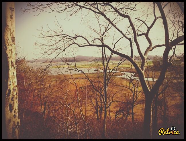 Photo of Laknavaram Diaries!!! 18/26 by Shraddha Lama
