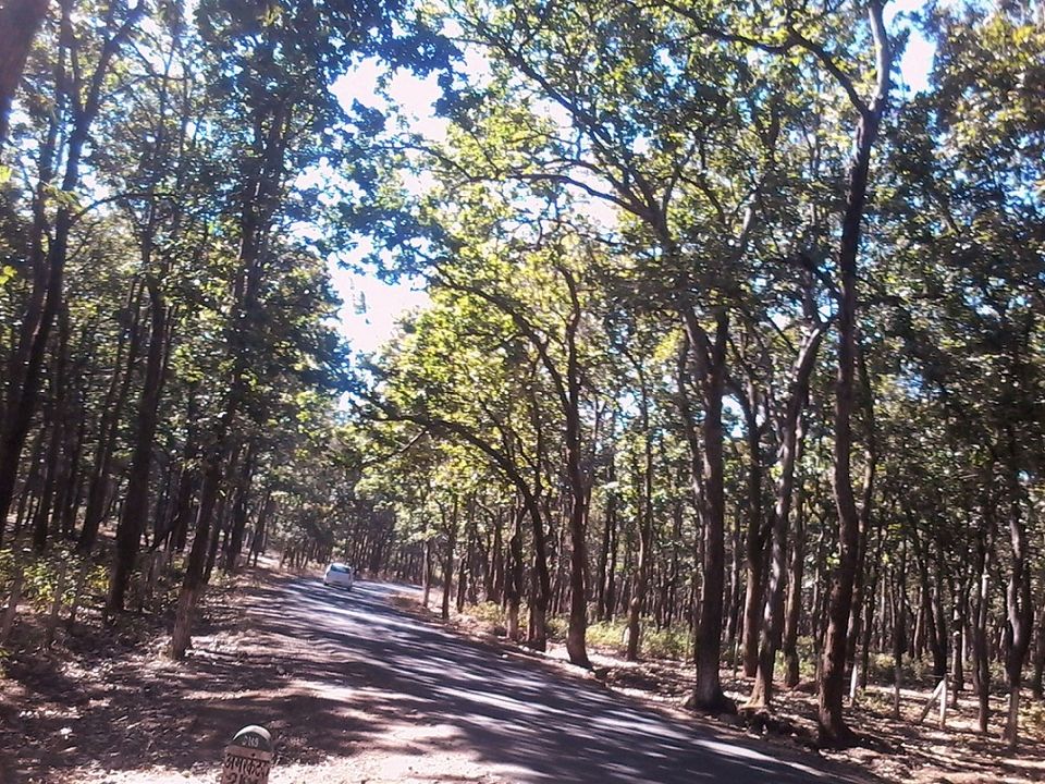Photo of Amarkantak, Madhya Pradesh, India by Priyanka Gupta