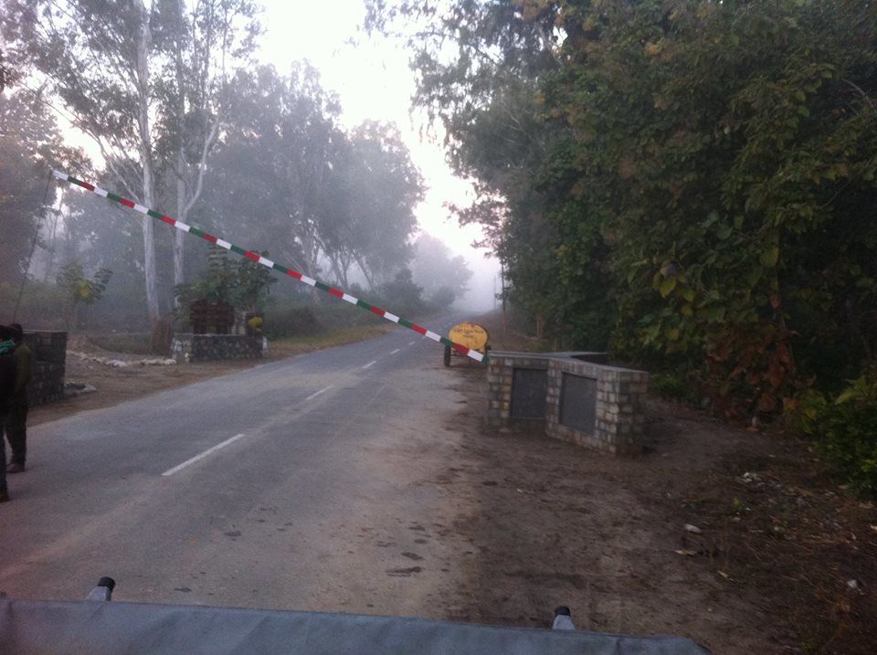 Photo of Wandering in the Wild Part I - Jim Corbett 2/6 by jyoti patil