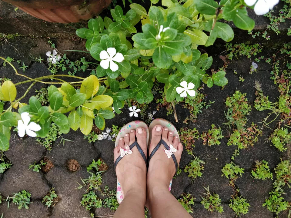 Photo of Hanchina Mane Home Stay, Hiregutti, Karnataka, India by Bhakti Prabhu