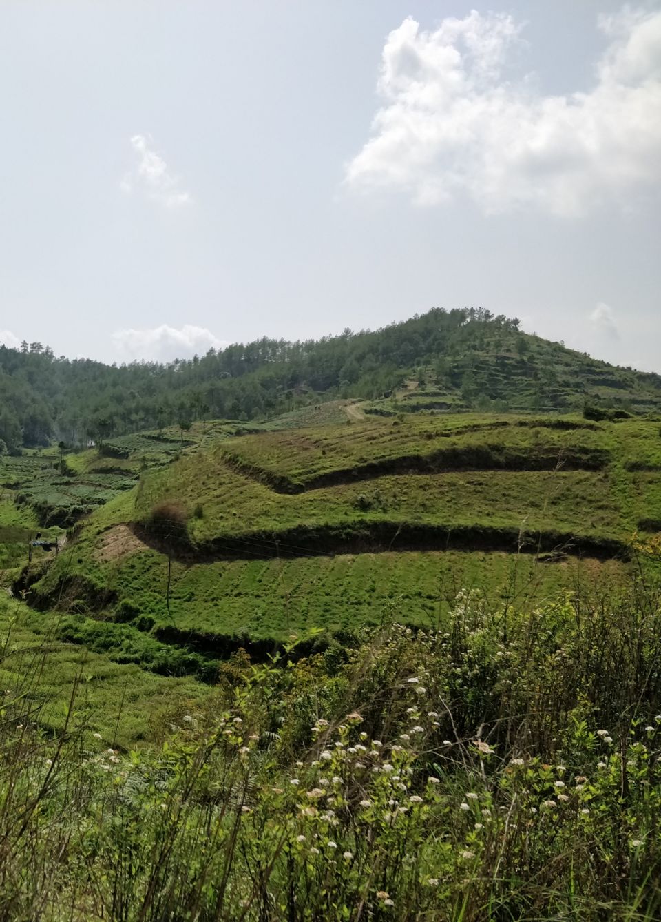 Photo of Cherrapunjee, Meghalaya, India by Bhakti Prabhu