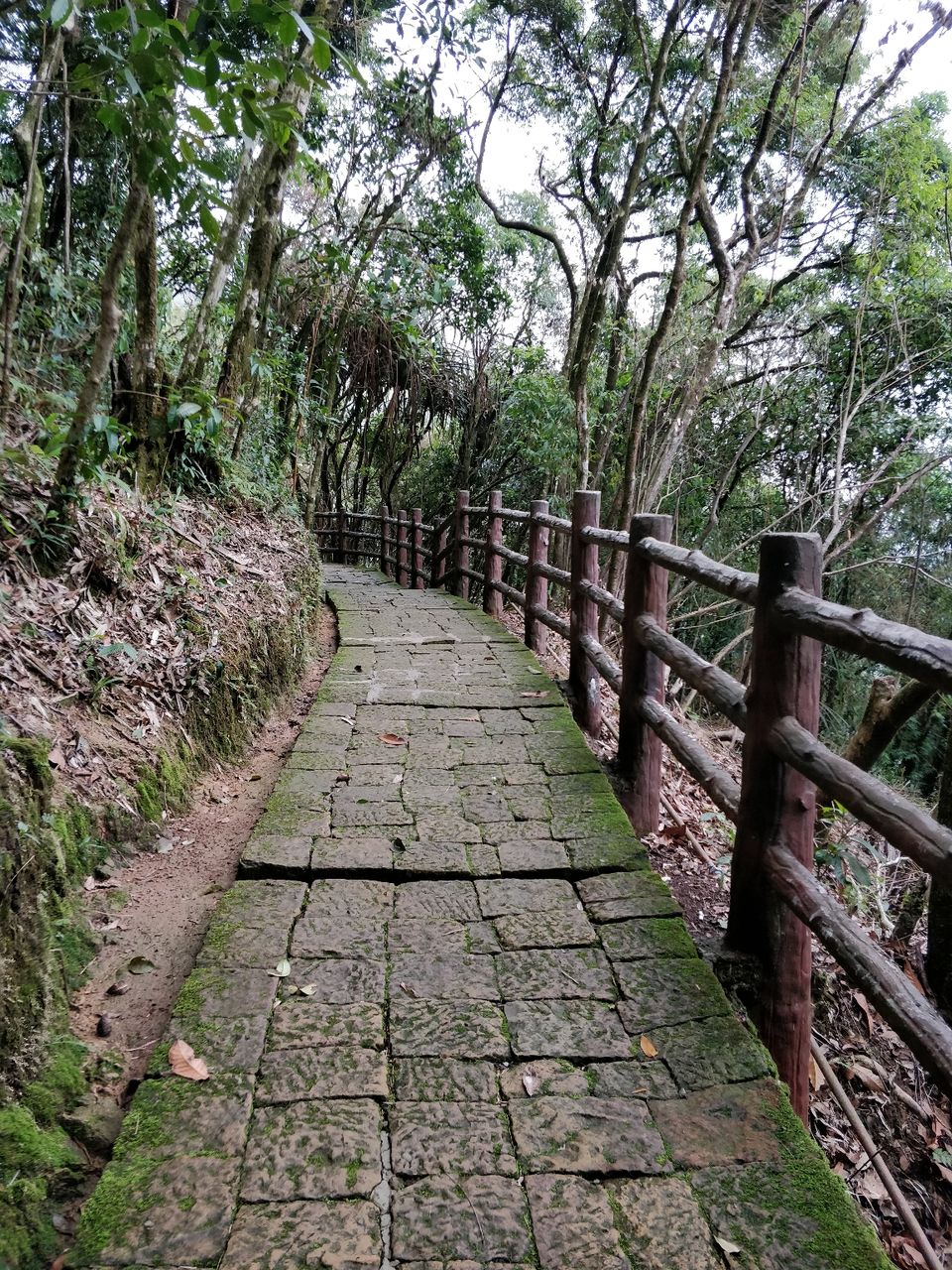 Photo of Arwah Lumshynna Cave, Cherrapunjee, Meghalaya, India by Bhakti Prabhu