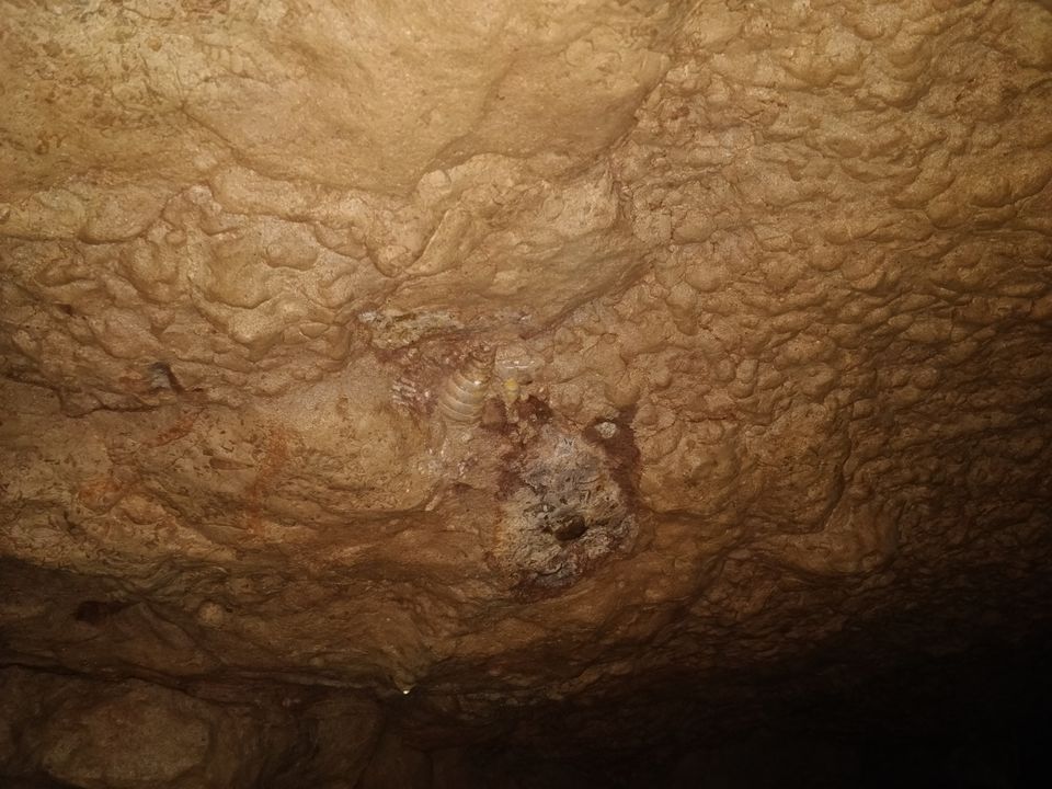 Photo of Arwah Lumshynna Cave, Cherrapunjee, Meghalaya, India by Bhakti Prabhu