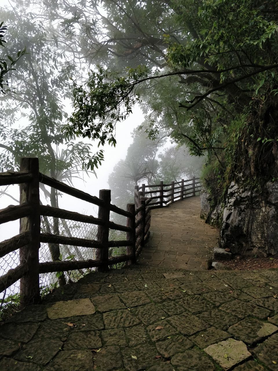 Photo of Arwah Lumshynna Cave, Cherrapunjee, Meghalaya, India by Bhakti Prabhu