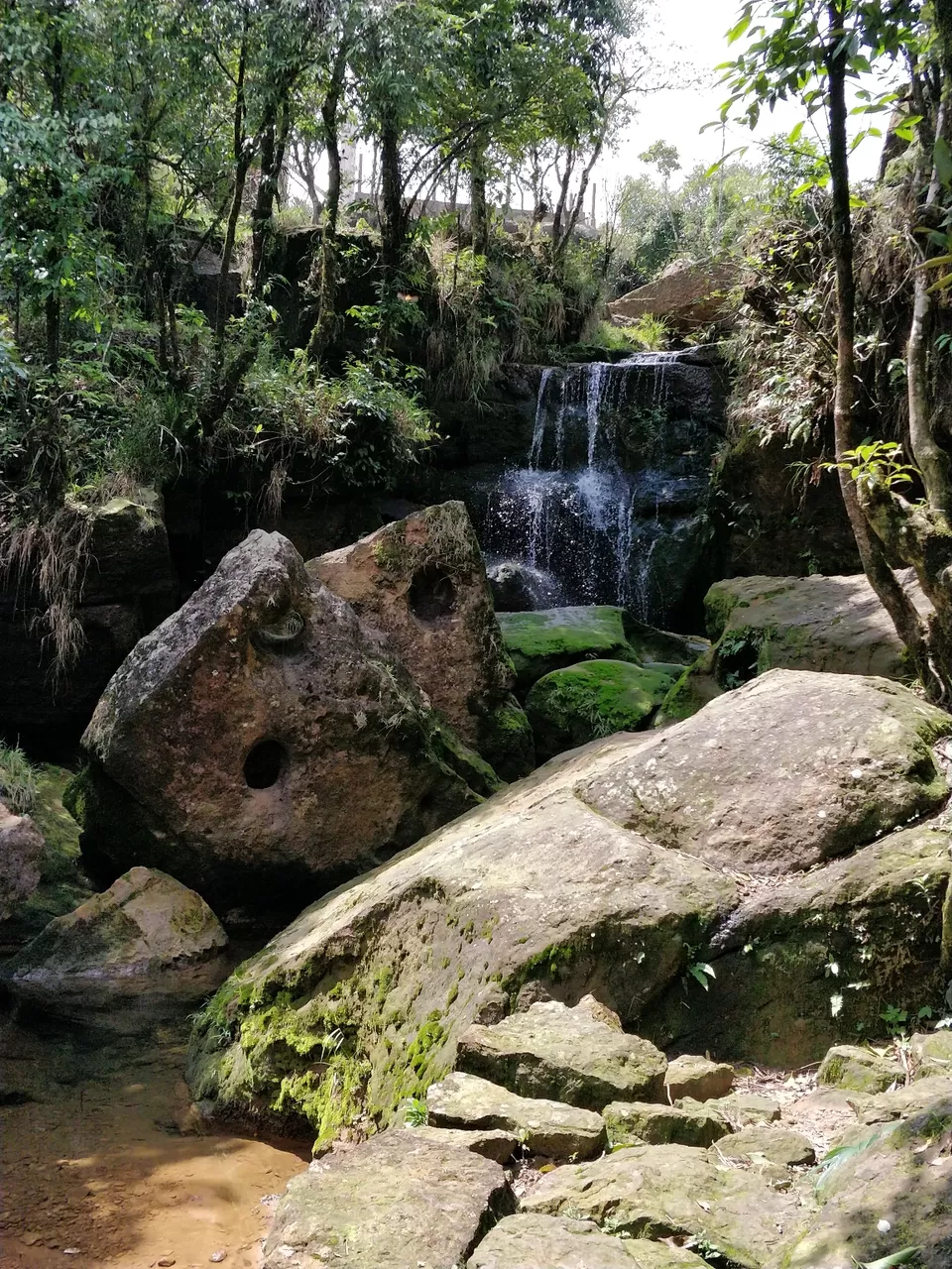 Photo of Garden Of Caves, Laitryngew-War, Laitmawsiang, Meghalaya, India by Bhakti Prabhu