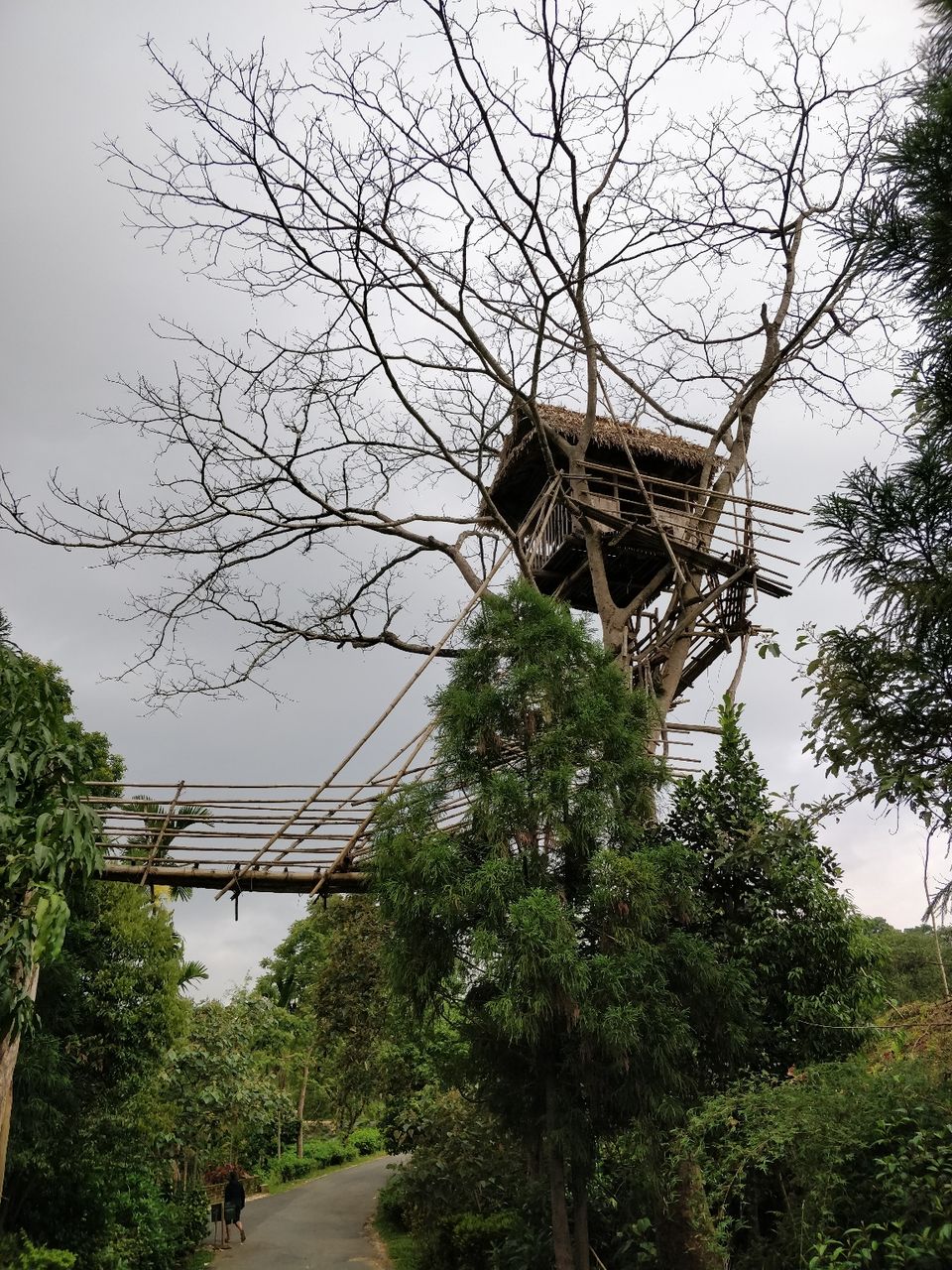 Photo of Mawlynnong, Meghalaya, India by Bhakti Prabhu