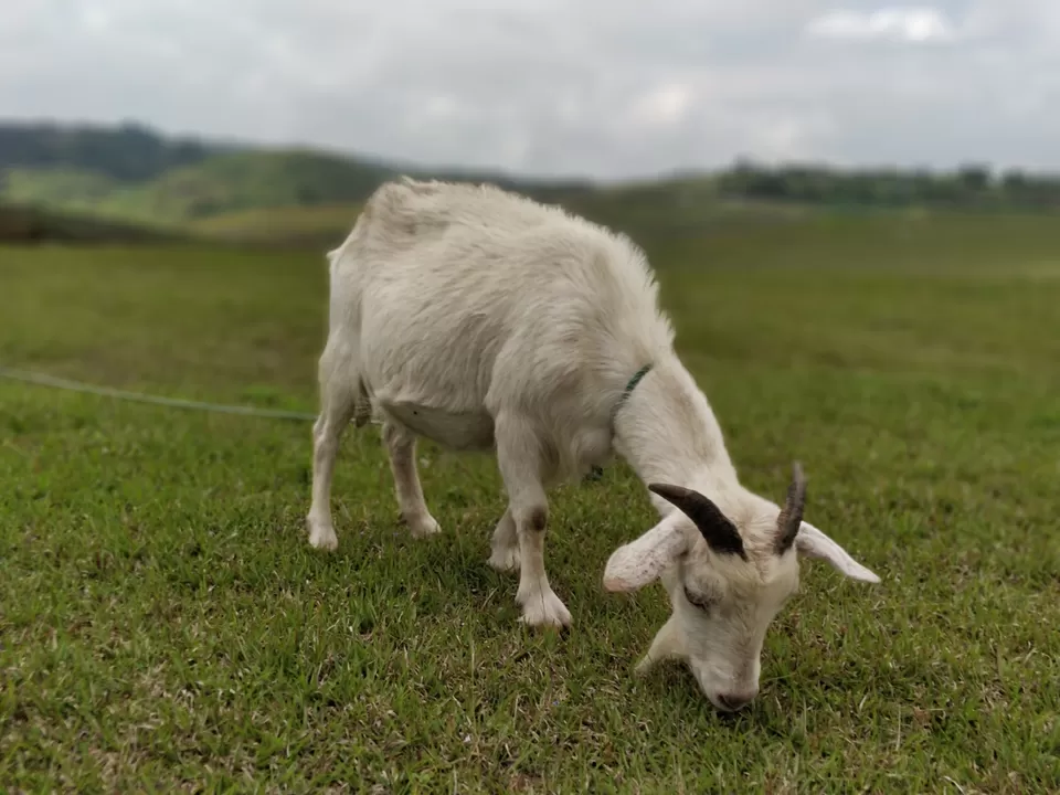 Photo of Laitlum Canyon, Meghalaya, India by Bhakti Prabhu