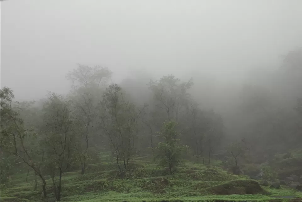 Photo of Jummapatti, Maharashtra, India by Bhakti Prabhu