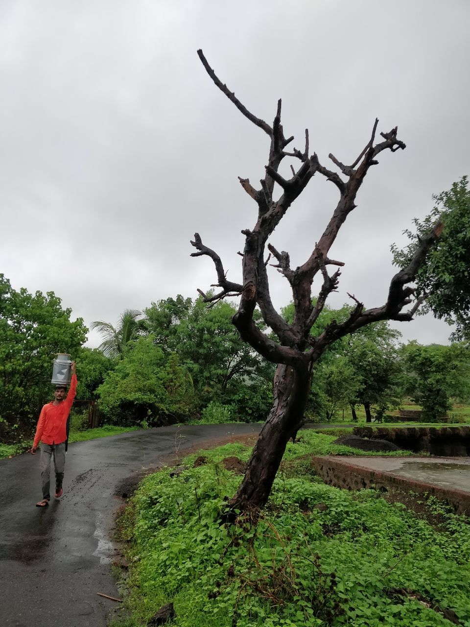 Photo of Neral - A monsoon getaway near Mumbai #bestofMaharashtra #offbeatplace by Bhakti Prabhu
