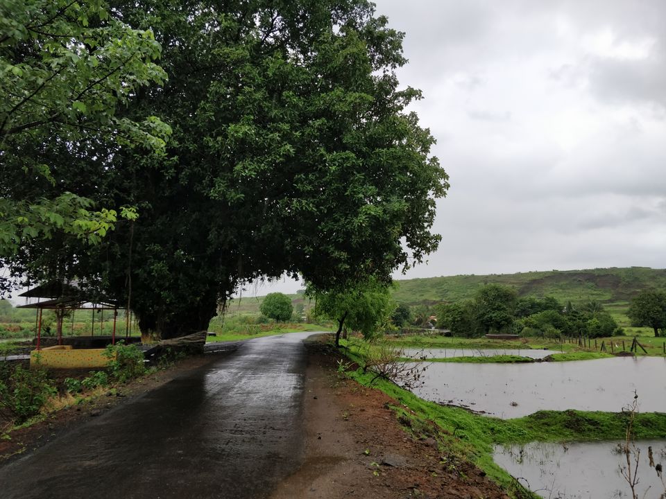 Photo of Neral - A monsoon getaway near Mumbai #bestofMaharashtra #offbeatplace by Bhakti Prabhu