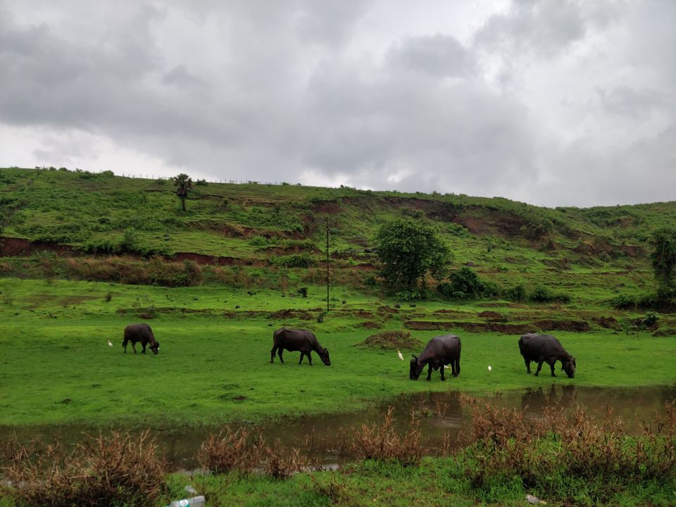 Photo of Neral - A monsoon getaway near Mumbai #bestofMaharashtra #offbeatplace by Bhakti Prabhu