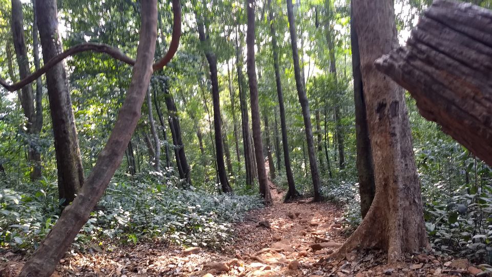 Photo of Kumara Parvatha, Kumaralli, Karnataka by Anusha Vasireddy