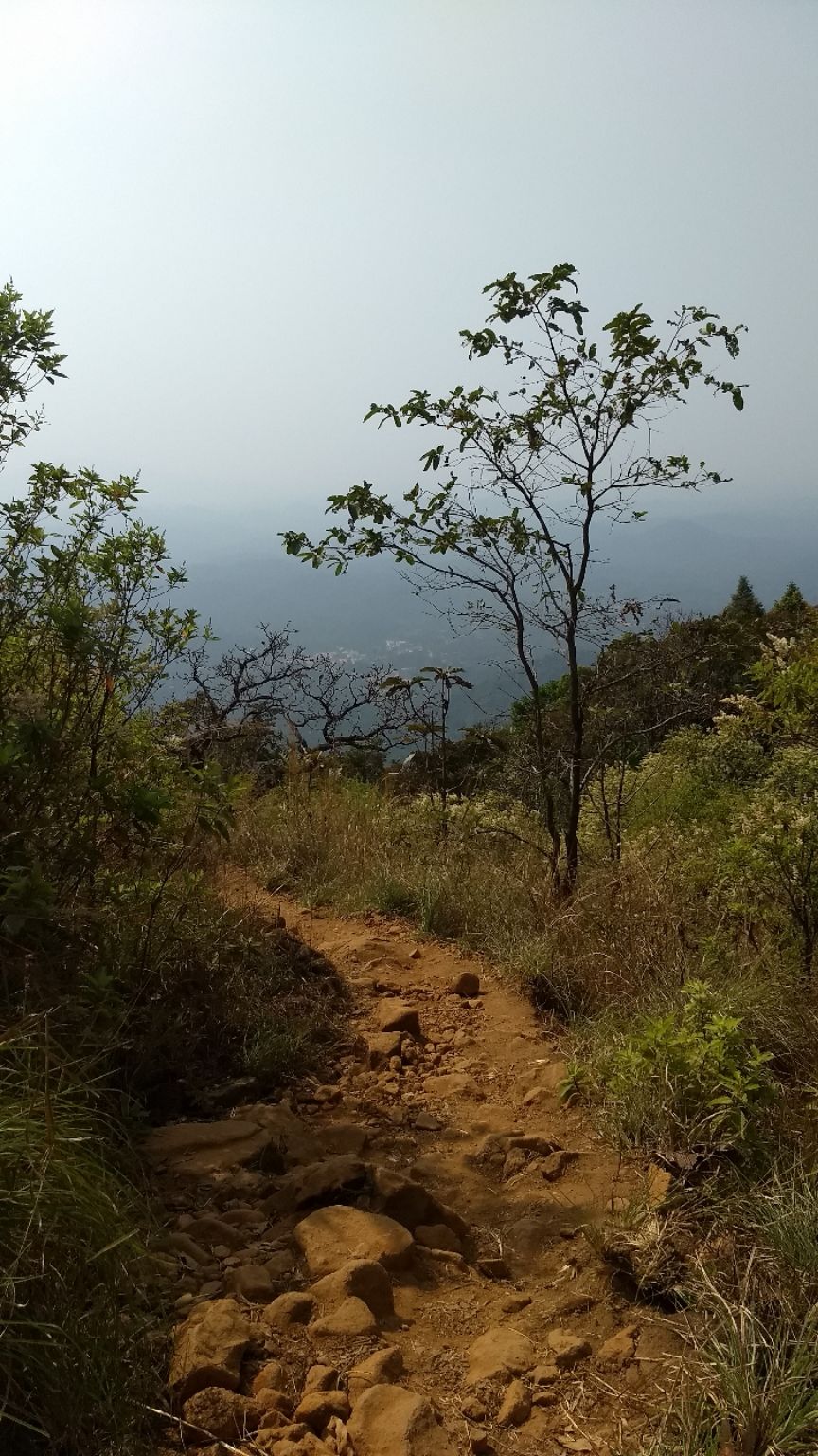 Photo of Kumara Parvatha, Kumaralli, Karnataka by Anusha Vasireddy