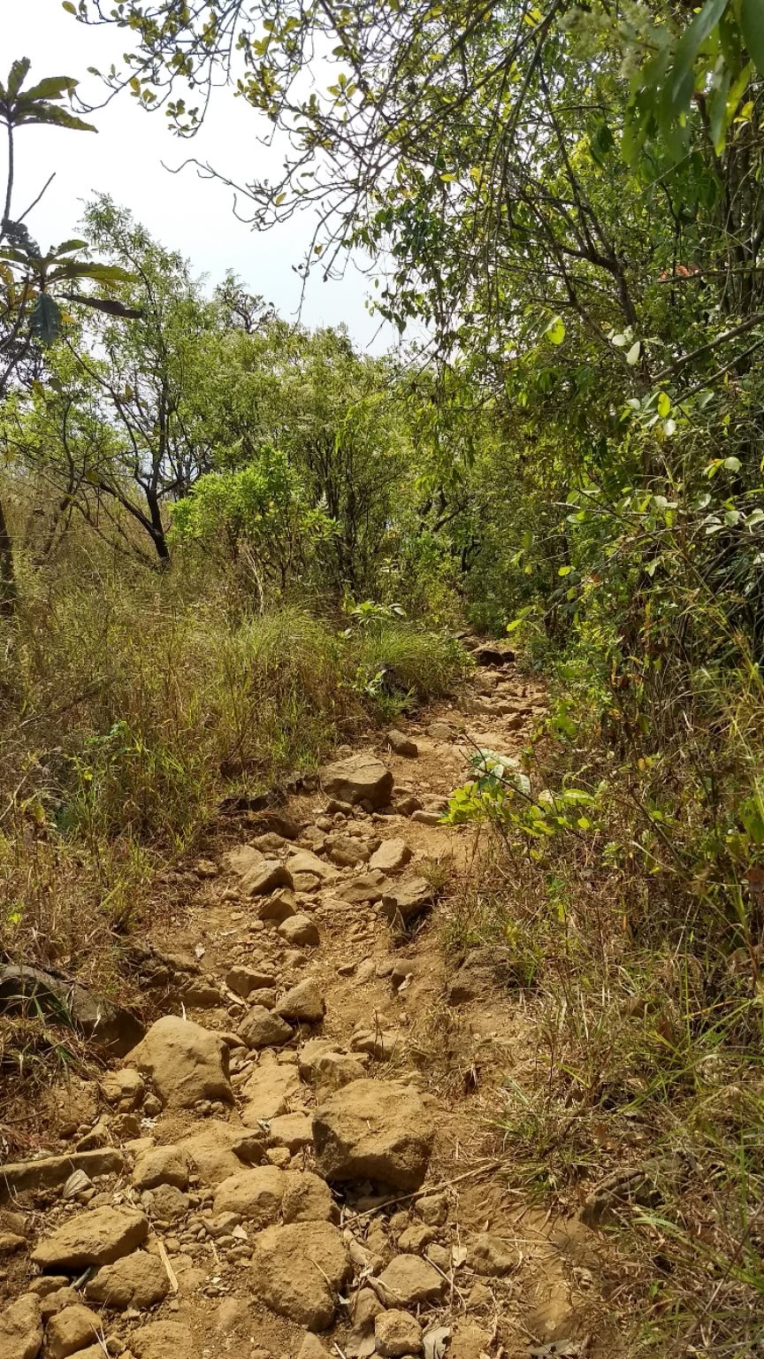 Photo of Kumara Parvatha, Kumaralli, Karnataka by Anusha Vasireddy