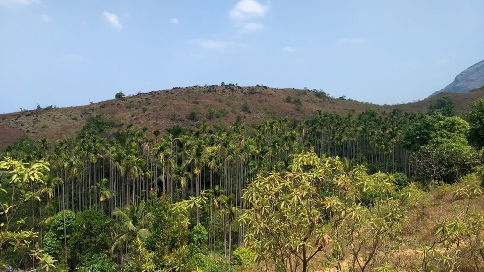 Photo of Kumara Parvatha, Kumaralli, Karnataka by Anusha Vasireddy