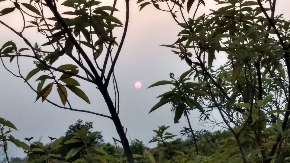 Photo of Kumara Parvatha, Kumaralli, Karnataka by Anusha Vasireddy