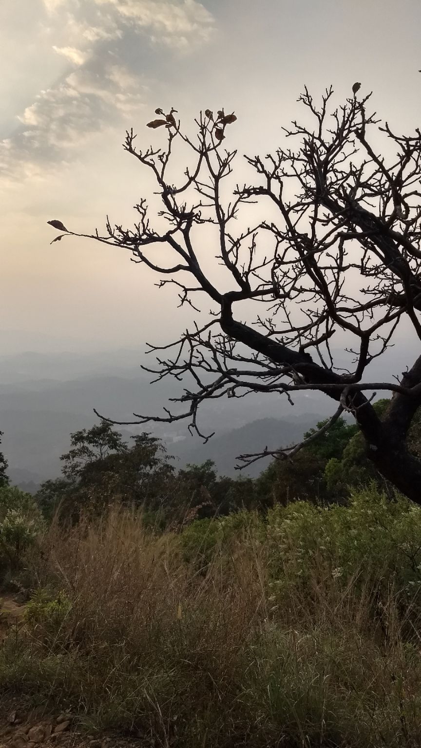 Photo of Kumara Parvatha, Kumaralli, Karnataka by Anusha Vasireddy