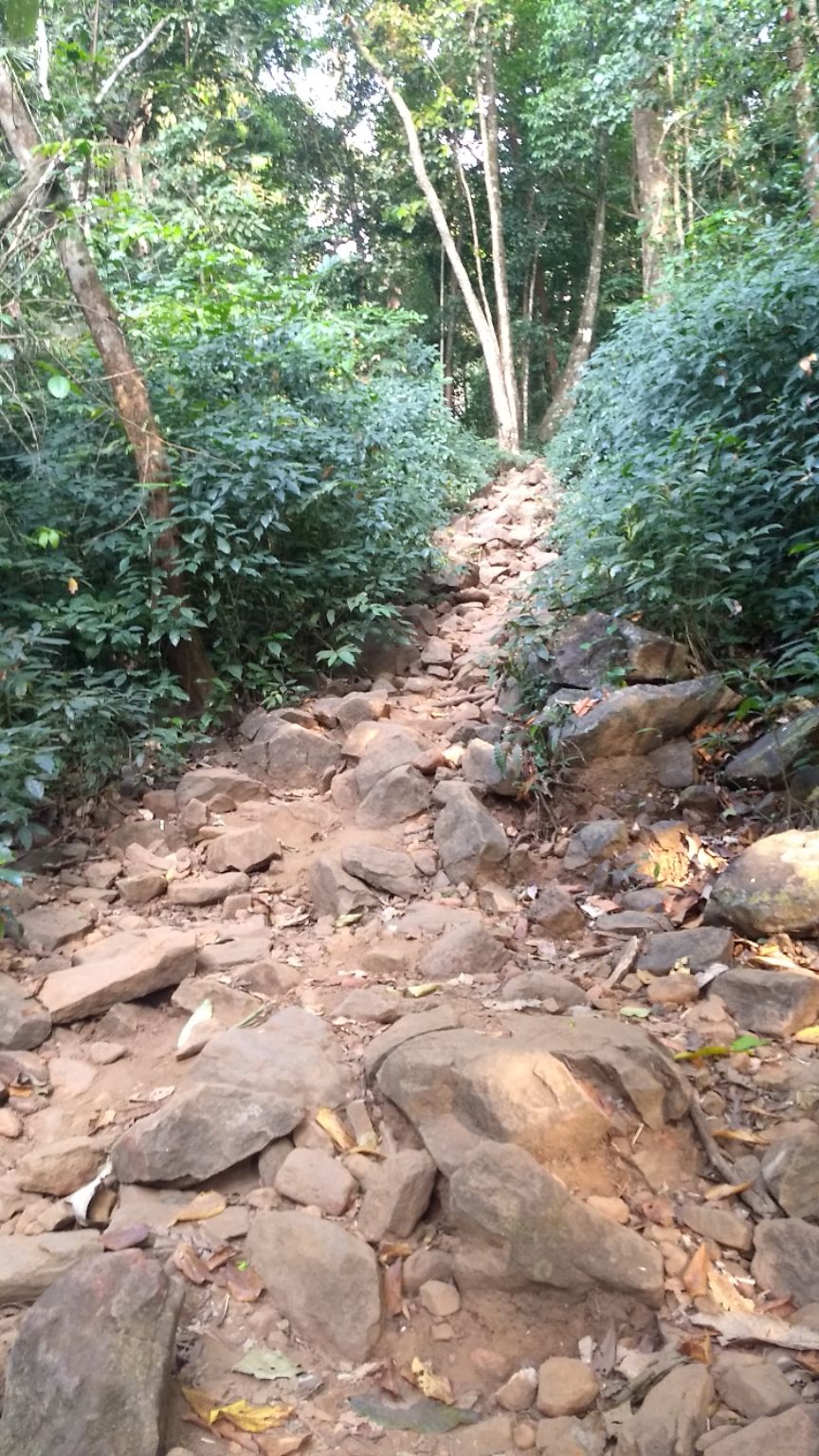 Photo of Kumara Parvatha, Kumaralli, Karnataka by Anusha Vasireddy
