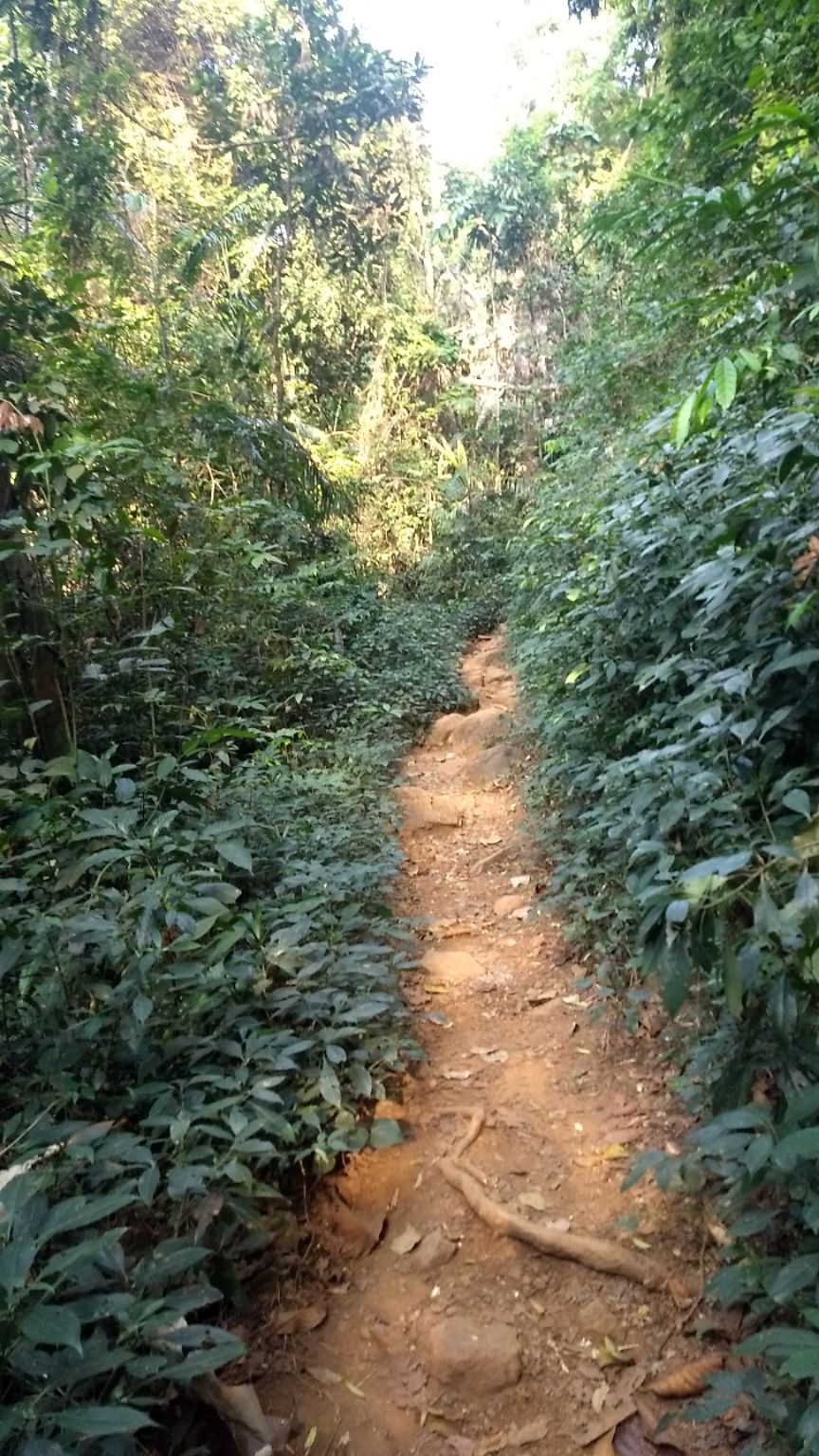 Photo of Kumara Parvatha, Kumaralli, Karnataka by Anusha Vasireddy