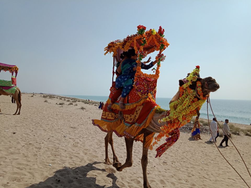 Photo of Longest beach in Gujarat by Sharad Meghnathi