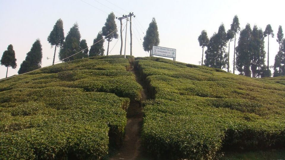 Photo of Add a dash of Mirik to Life! 3/6 by Sneha Bhattacharya