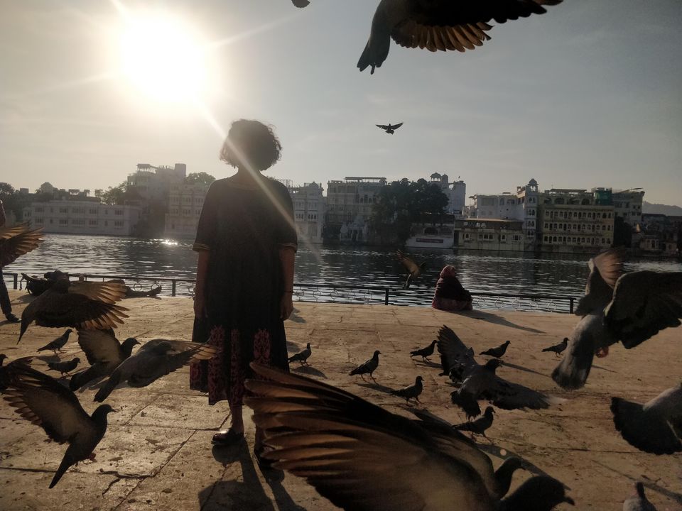 Photo of Udaipur, Rajasthan, India by Triparni Biswas
