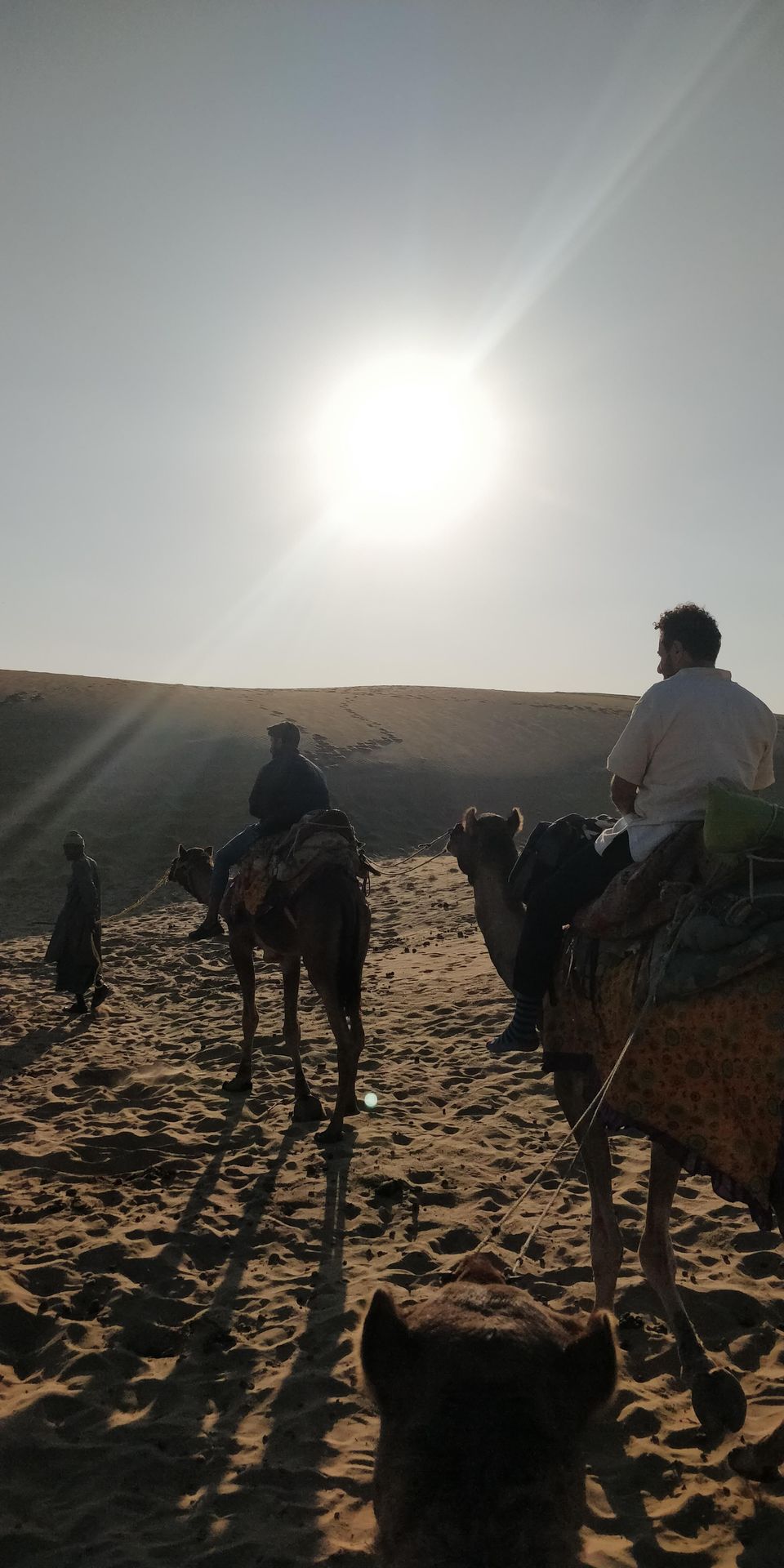 Photo of Jaisalmer, Rajasthan, India by Triparni Biswas