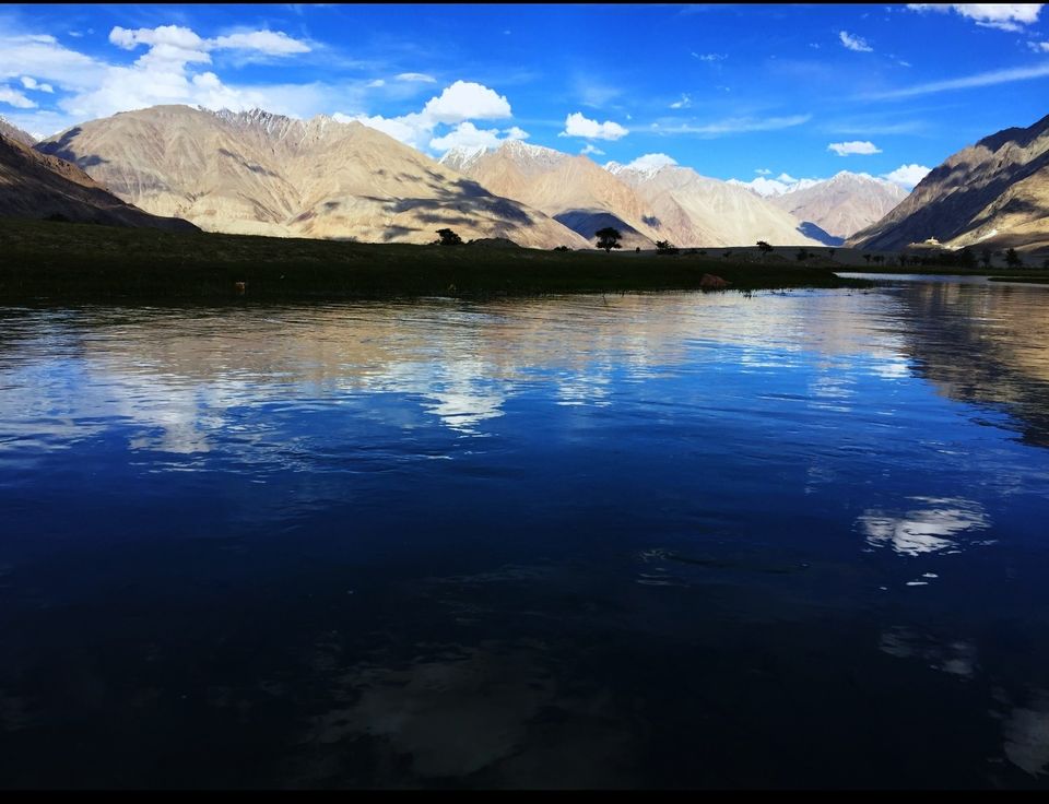 Photo of Nubra River by TurtleXplores
