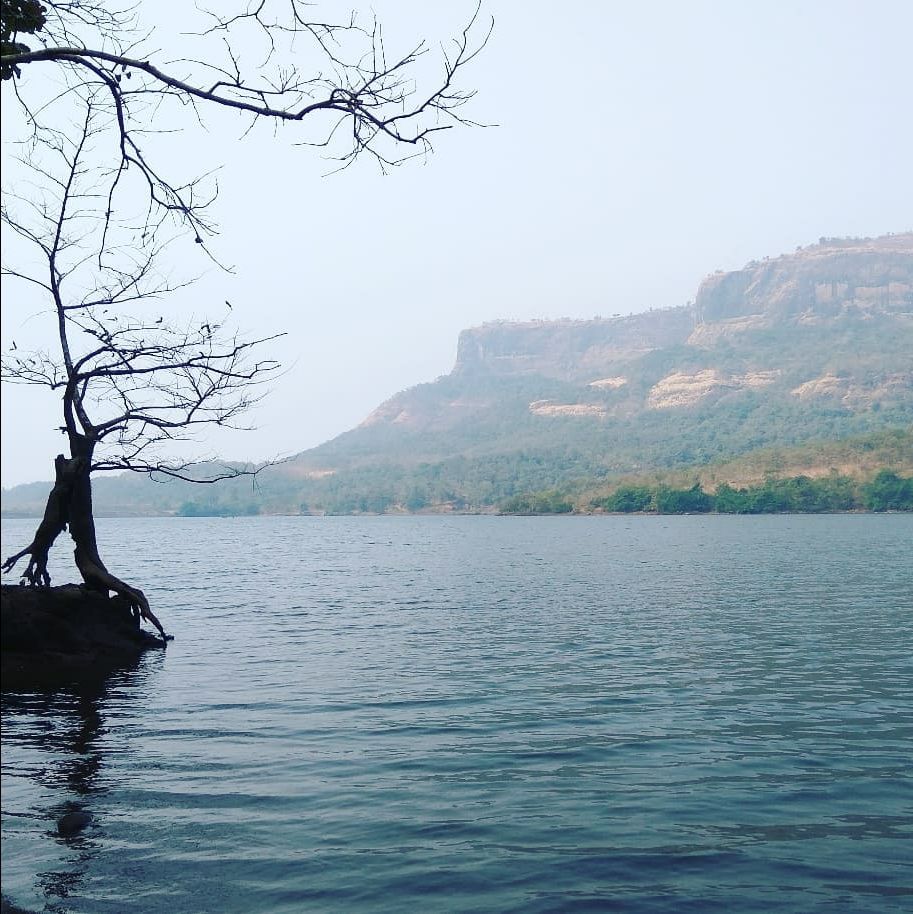 Photo of Bhira Dam(Unnai dam) by TurtleXplores