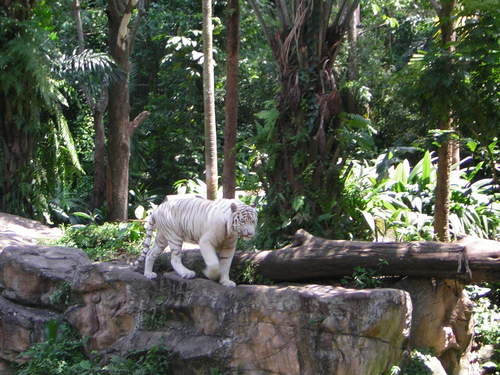 Photo of Singapore by Cristina Luisa