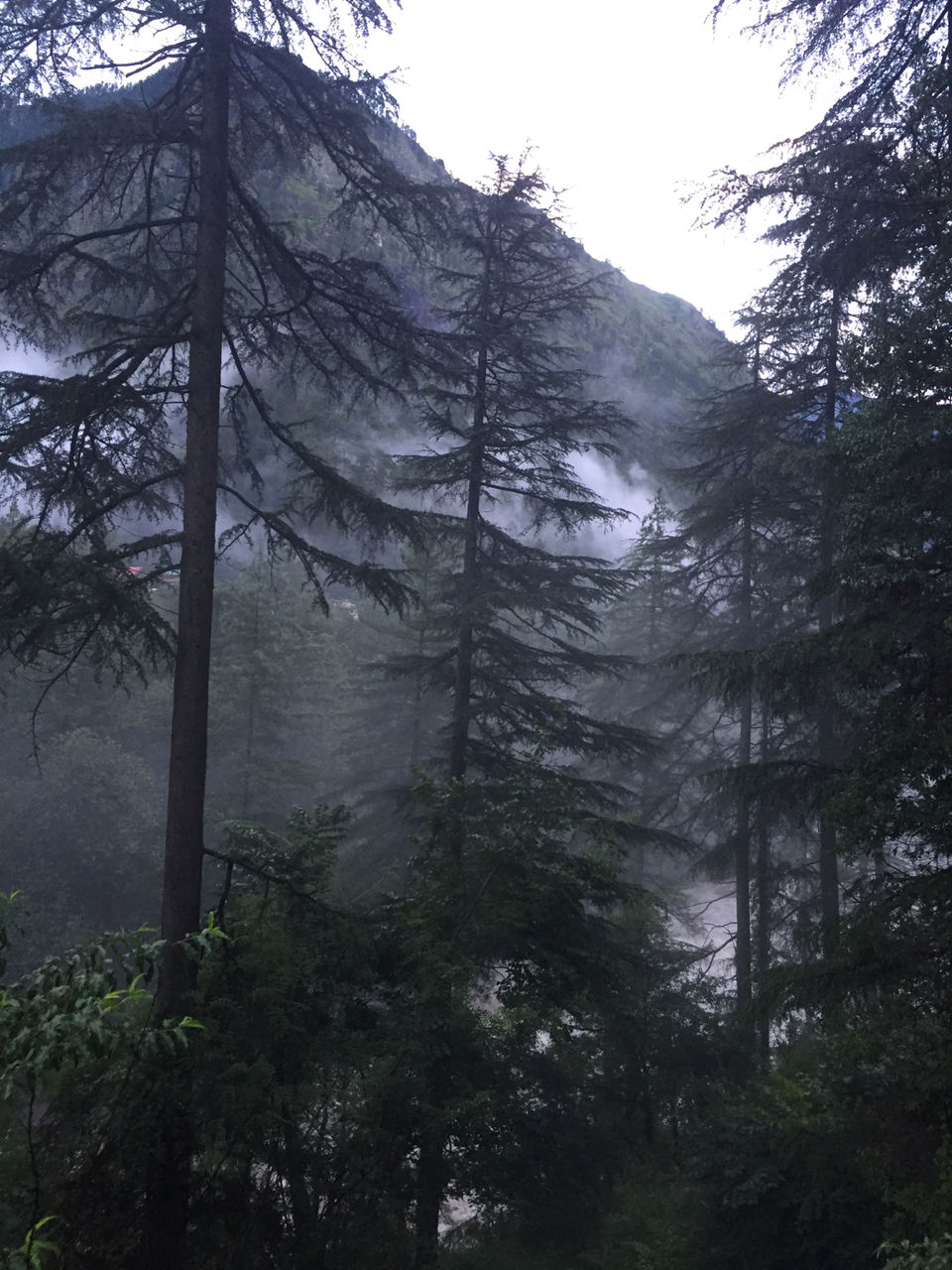 Photo of Find Yourself Amidst Himalayas. by Shivek Bansal