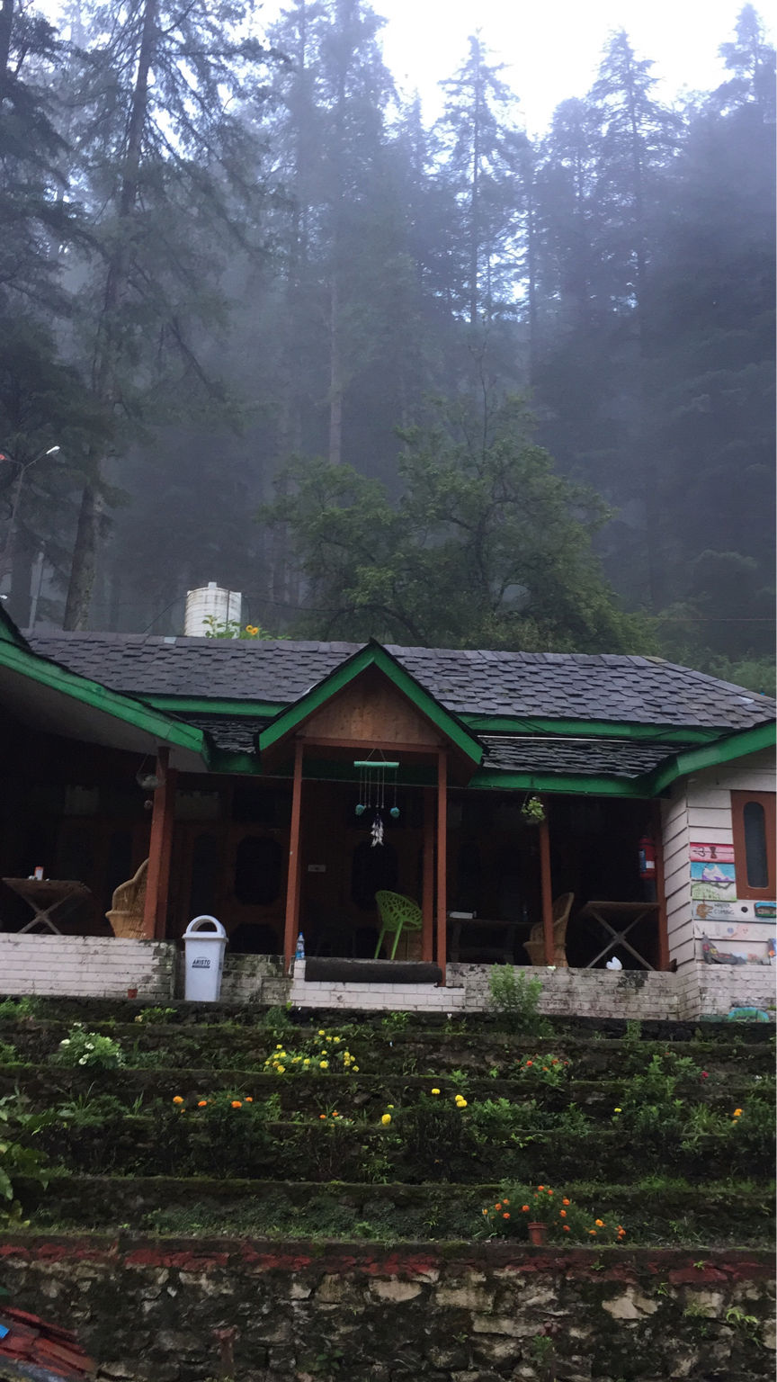 Photo of Find Yourself Amidst Himalayas. by Shivek Bansal