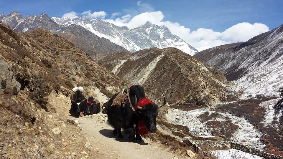 Photo of Everest Base Camp Trek : Lifetime adventure trip 2/2 by Glorious Himalaya Trekking Pvt. Ltd.