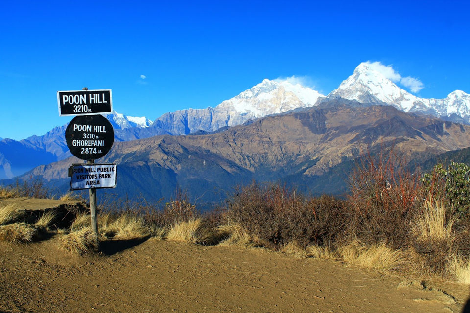 Photo of Ghorepani Poon Hill Trek : Epic Holiday Journey 1/1 by Glorious Himalaya Trekking Pvt. Ltd.